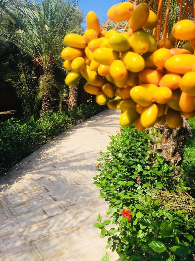 Riad Le Jasmin 타라우단트 외부 사진