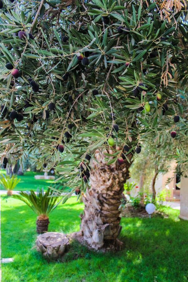 Riad Le Jasmin 타라우단트 외부 사진