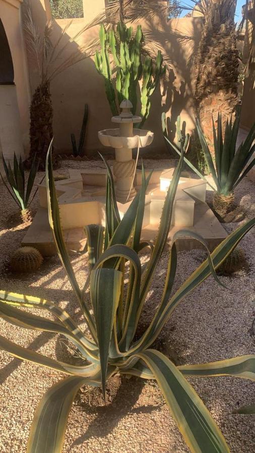 Riad Le Jasmin 타라우단트 외부 사진