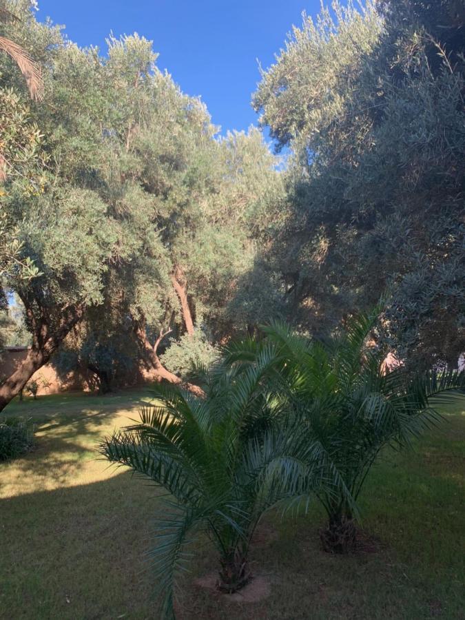 Riad Le Jasmin 타라우단트 외부 사진