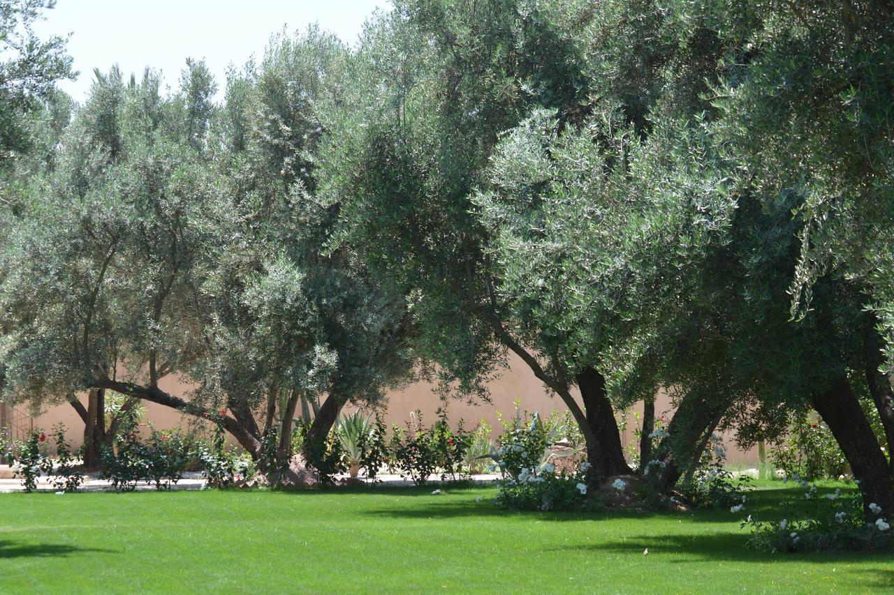 Riad Le Jasmin 타라우단트 외부 사진