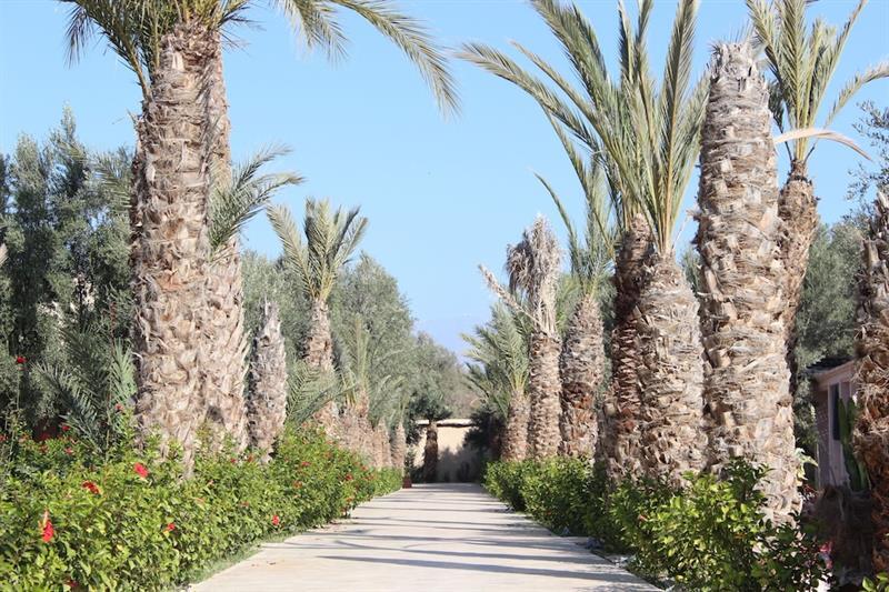 Riad Le Jasmin 타라우단트 외부 사진